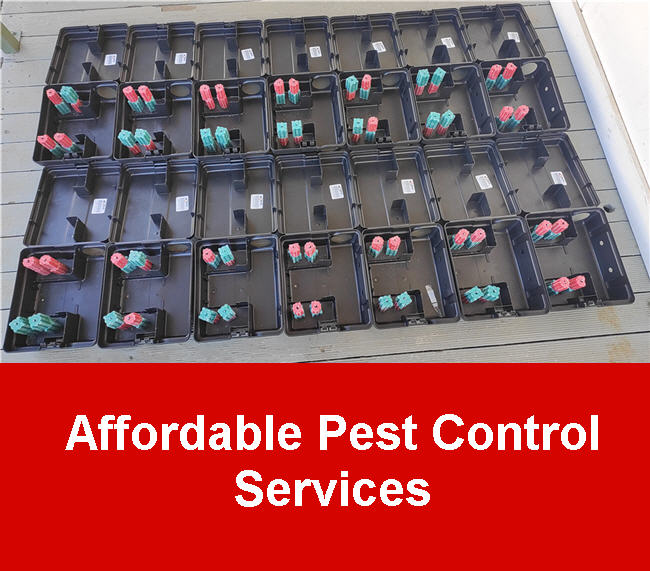 Campbelltown Pest Control Affordable Services